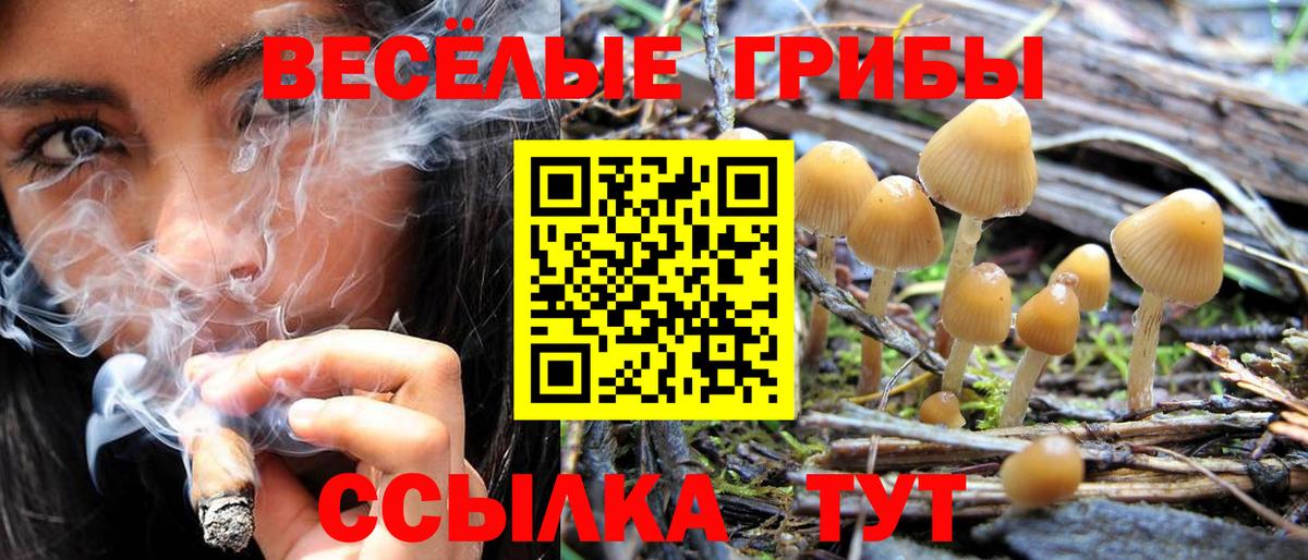 Галлюциногенные грибы Magic Shrooms  Галлюциногенные грибы ЛСД  где найти   Вход с VPN  Тутаев 