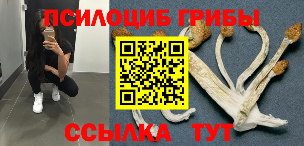 Галлюциногенные грибы Cubensis Тутаев